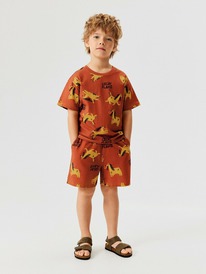 ����� �� 20.01 Acoola ����� ������� ��� ��������� ((1)�������� � (2)�����) Hoste