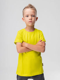 13.01 Bodo �������� 113-��6�� 113-��6�� ���������