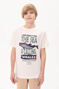 13.01 Pelican �������� ��� ��������� BFT3371 ��������