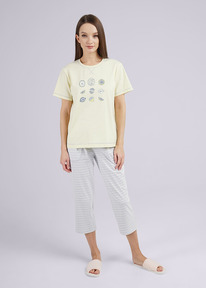 Clever ������ ������� CLE LP24-1102/2 ��.�������/��������