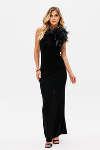 ������ EOLA 2756 ������