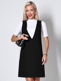 ������� DStrend ��-0954 ������