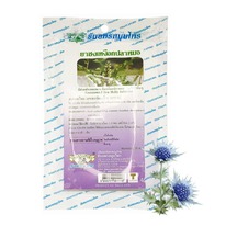 ������� �� �������� � ������ ��������� ������� (Sea Holly), 20 �������, Thanyapo