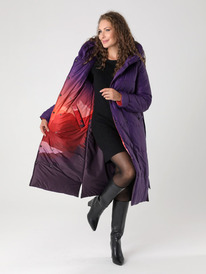 ������ DizzyWay 24406 ����������