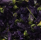 ������ 50 ��