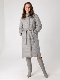 ������ DizzyWay 24402 �����