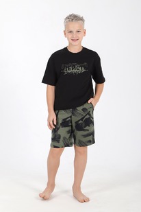 ������ ��� �������� ���-2 ��-183 ר����