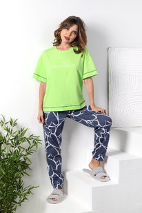 ������ �����-1 �-850 ���������