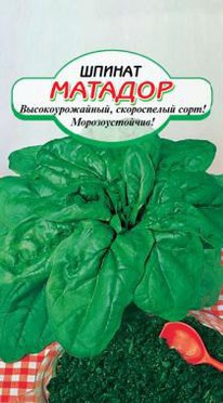 ������ ������� �/�