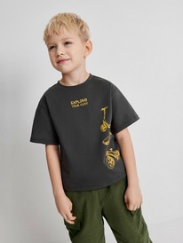 Acoola �������� ������� ��� ��������� Brownie 20120510296 �����-�����