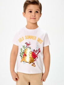 Acoola �������� ������� ��� ��������� Sprat 20120510231 �����