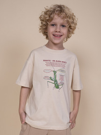 Pelican �������� ��� ��������� BFT3354/1 ��������