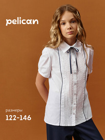 24.03 Pelican ������ ��� ������� GWCT7110 �����