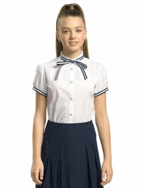 24.03 Pelican ������ ��� ������� GWCT8117 �����