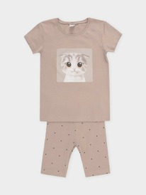 Crockid ������ ��� ��� � 1647-1/���.�����