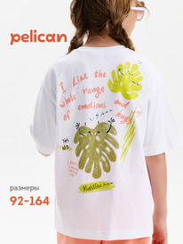 Pelican �������� ��� ������� GFT3390/1 �����