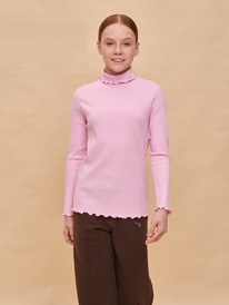 24.03 Pelican ������� ��� ������� GFJS3337 �������