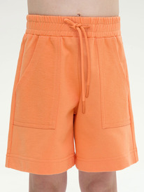 24.03 Pelican ����� ��� ������� GFH3317 ���������