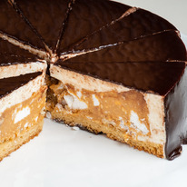 ����� ����� ���� ��������, ���������