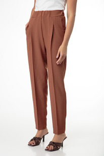 ����� ANELLI 895 �������� ��