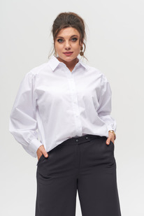 ������� ANELLI 987.1 �����