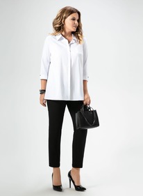 ������� Panda 40840z �����