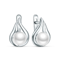 ������ �� ������� � ���������������� �������� ������������ �1427