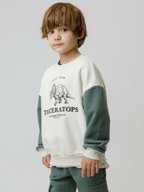 22.04 Crockid ������� (�������) ��� ��� �� 302851/������-������� 0783 �606