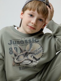 22.04 Crockid ������� (�������) ��� ��� �� 302843/���� 6206 �592