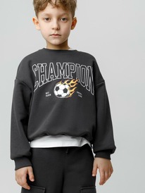 22.04 Crockid ������� (�������) ��� ��� �� 302843/������������ 3902 �594