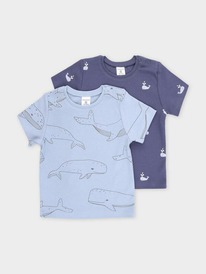 22.04 Crockid ������� (��������) �� � 301156-2��/�������,��������� ���� �����