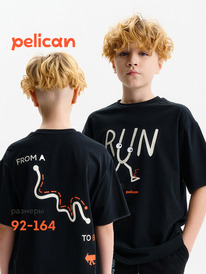 22.04 Pelican �������� ��� ��������� BFT3388/6 ������