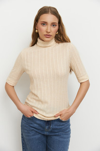 66413 �������