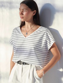 21.04 Vilatte �������� � V-������� � ������������� ������� �� ������������ �����