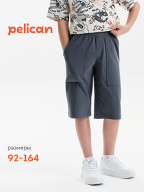 22.04 Pelican ����� ��� �������� BFH3352//1U �����