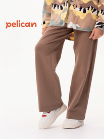 12.04  Pelican ����� ��� ������� GFPQ3319U ����������