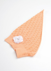 �����  Clever ����� ������� ��� ������� CLE 802737� ����������