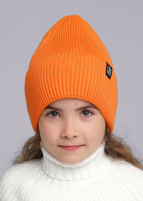 �����  Clever ����� ������� CLE 433869�� ���� ���������