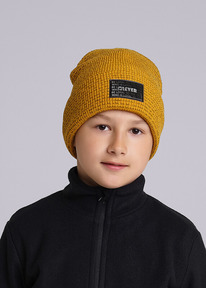 �����  Clever ����� ������� CLE 433870�� ���������