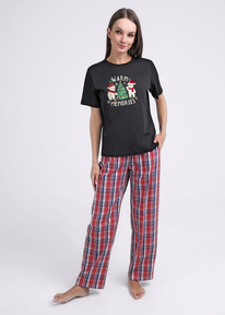 �����  Clever �������� ������� ��� ���� CLE LF14-1141/3 ������