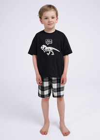 �����  Clever �������� ������� ��� �������� CLE 909539��_� ������/��������