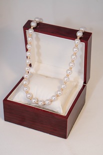 ���� �� ������� 