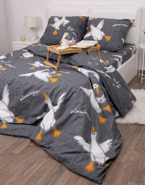 ������� ������������ �� ������� 1,5�� � ������������