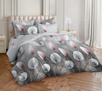 ������� ������������ �� ������� ���� � ������������