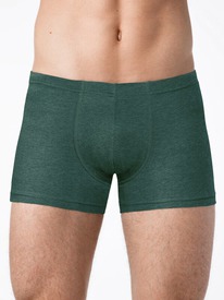22.05 ALFA ����� ������� ALFA 6303 ����� ������� BOXER SHORTS 19�6303 �.������� 