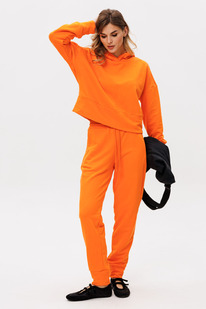 ������ EOLA 2880 ���������