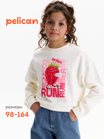 01.06 Pelican ��������� ��� ������� GFNY3388 ��������