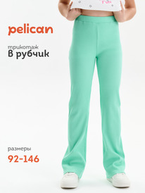 01.06 Pelican ����� ��� ������� GFL3352//2 ������