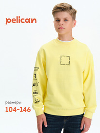 01.06 Pelican ��������� ��� ��������� BFN3377 ���������