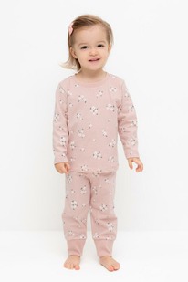 03.07 Crockid ������ �/��� �� � 1561/�������� ����,���������� ����